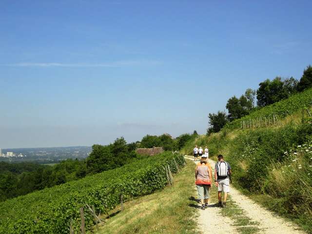 Balade gourmande : la Vigneronne - édition 2026