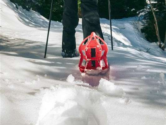Prérond / Le Super Collet snowshoe trail