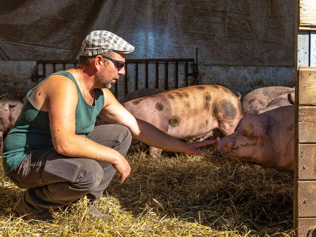 La Ferme des Bichoux