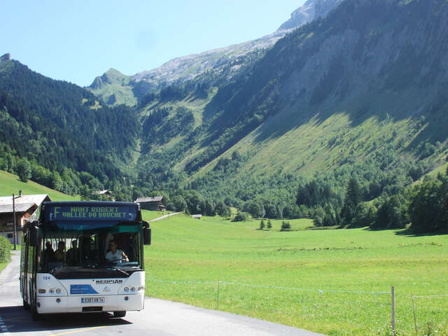 Ligne de bus interne Le Grand-Bornand