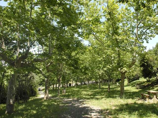 Parc Méditerranéen de Conilhères