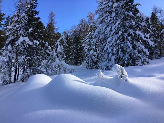Les Chalets de Fontantie