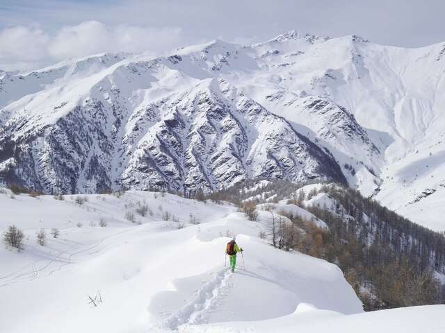 Sur les traces des chamois