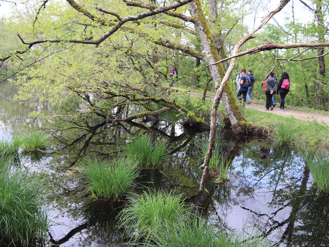 Expérience sensorielle au marais de Bizadan