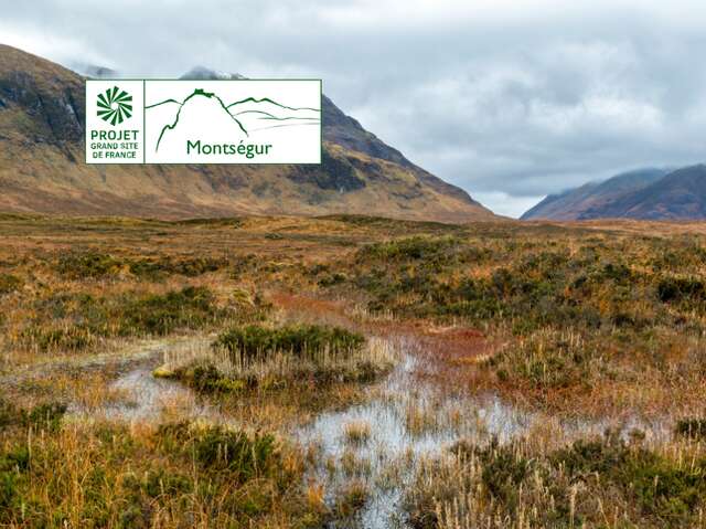 Les tourbières de montagne, archives du climat