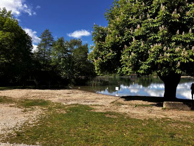 Plage d'Aiguebelette-le-Lac