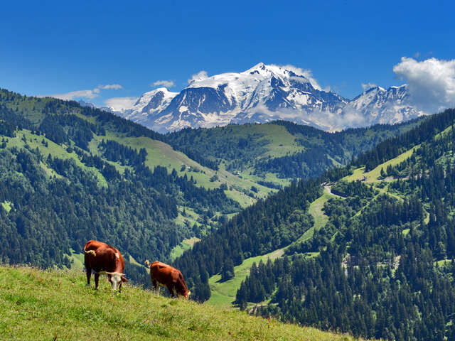 Jause auf der Alm, beim Chalet Blanc