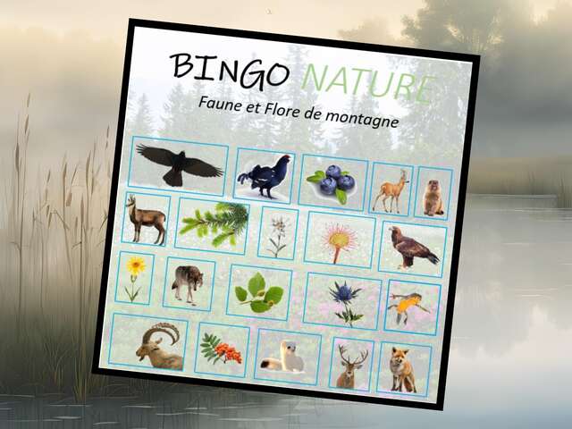Nature bingo: Discovering the flora and fauna of the mountains