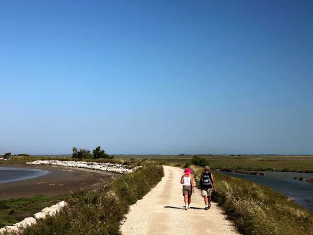 SAINTES-MARIES-DE-LA-MER - La Digue à la Mer