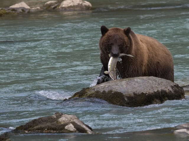 Exposition photo "Voyage aux 4 coins du monde"