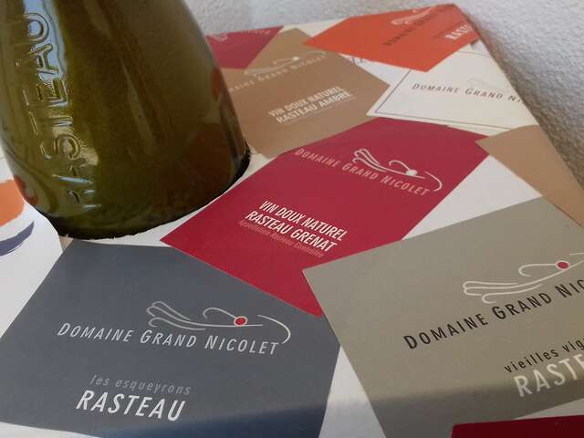 Visite de la cave - Domaine Grand Nicolet