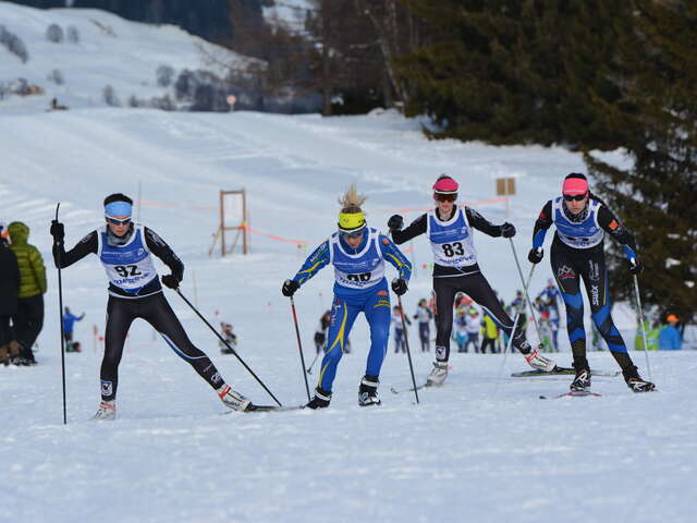 Ski de fond - Grand Prix La Bûcheronne