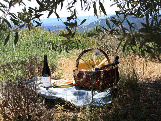 Winegrower's path - Domaine de Saint Amant