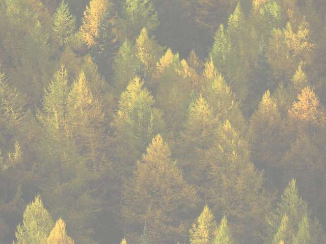 Formation "Forêts de montagne"