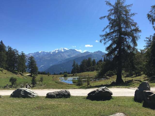 Buvette d’alpage du Lein