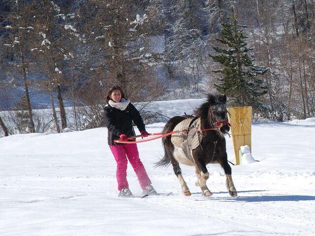 Ski joëring - Les Écuries des Écrins