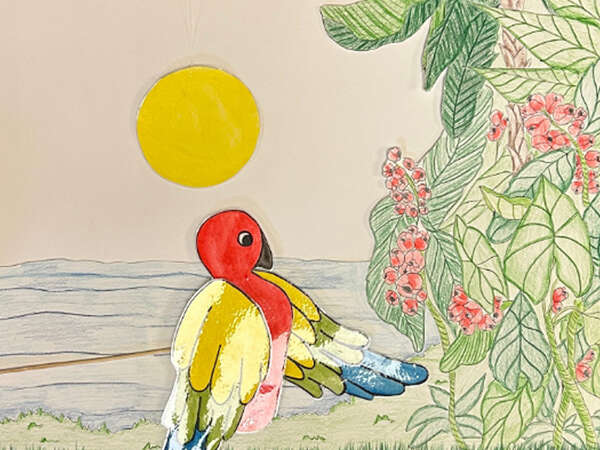 Biblio'musée : de couleurs et d'animaux - MBA hors les murs