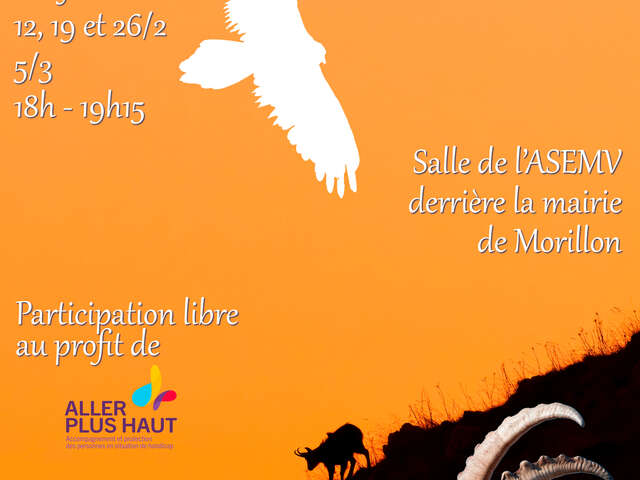 Faune du Giffre & coulisses de la photo animalière