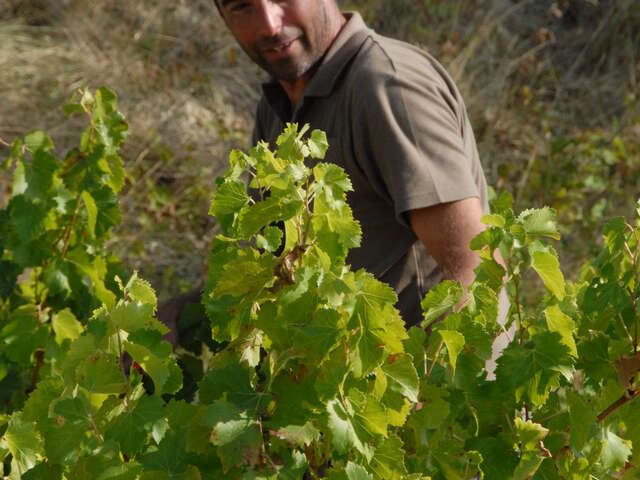 Domaine Combe Julière