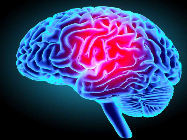 10 idées reçues sur le cerveau