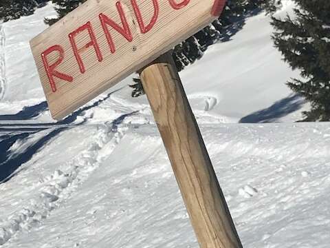 Itinéraire de ski de randonnée Le Super Collet - Les Plagnes