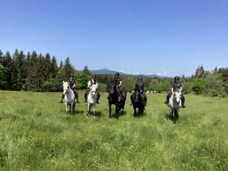 Equitation