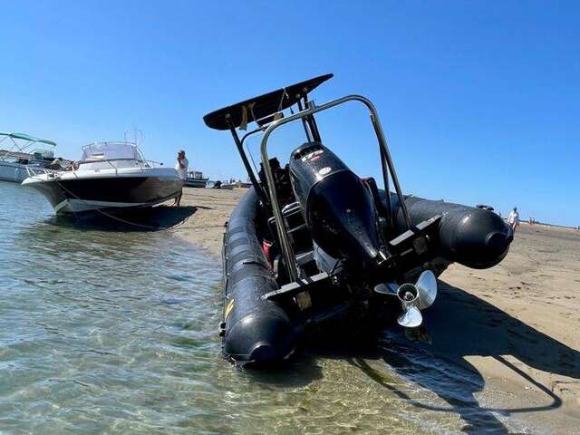 Sea trip and banc du Bûcheron (5h) departing from La Flotte - TEX