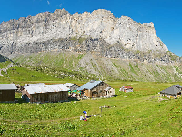 Observations and Exchanges at the Alfred Wills Shelter