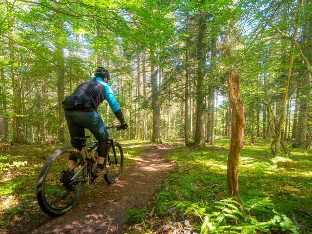 N°77 - La couzanaise - Circuit Enduro - Espace VTT-FFC Massif des Bois Noirs