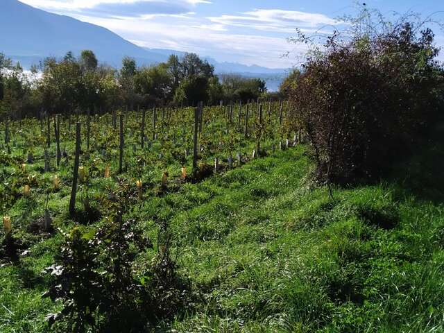 Les Pieds dans le Local®, spécial producteurs ! Visite d'exploitation : Les Mangeux d'Pierre