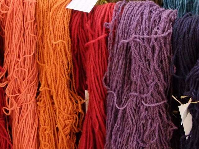 Atelier et rando-conférence sur la teinture naturelle