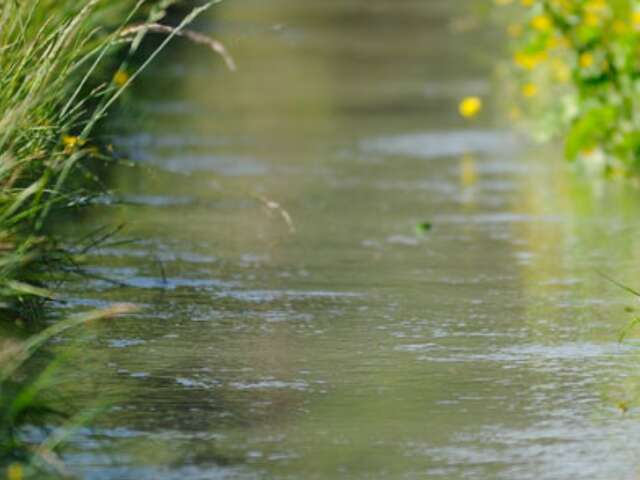 Visite: Découvrir les secrets des paysages de la Crau