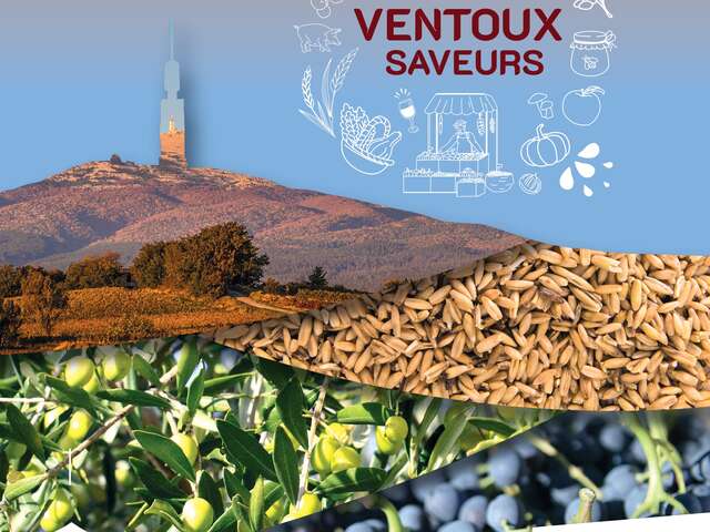 Festival Ventoux Saveurs - Déjeuner " accord parfait " et masterclass grenache et chocolat - Domaine Chêne Bleu