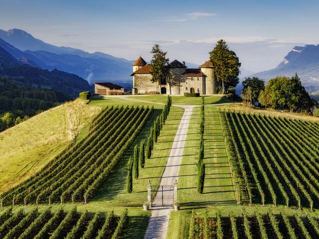 Vignoble & château Chevalier Bayard