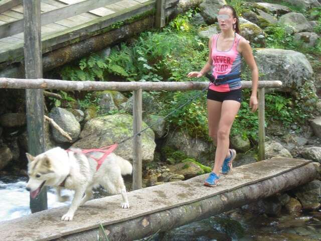 Discovering the world of polar dogs