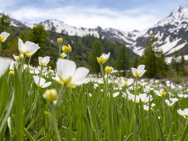 Le vallon de Ségure : à toucher le paradis en gravel
