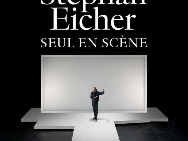 Concert : Seul sur scène de Stephan Eicher - L'Intégral