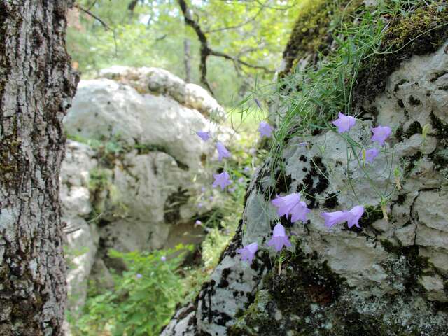 Randonnée argile en Provence - Journée