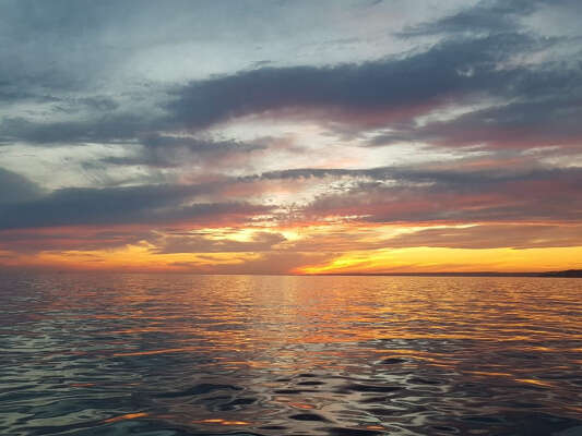 Evening sailing cruise in the Frioul's Island - CITY HALL