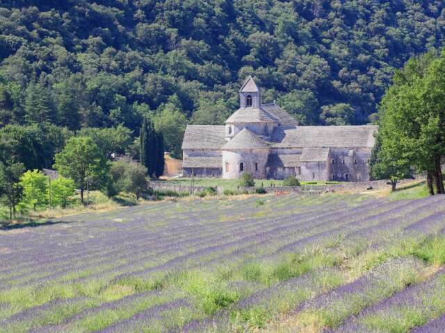 Abbaye Notre-Dame de Sénanque