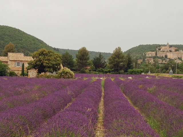 Na Provence