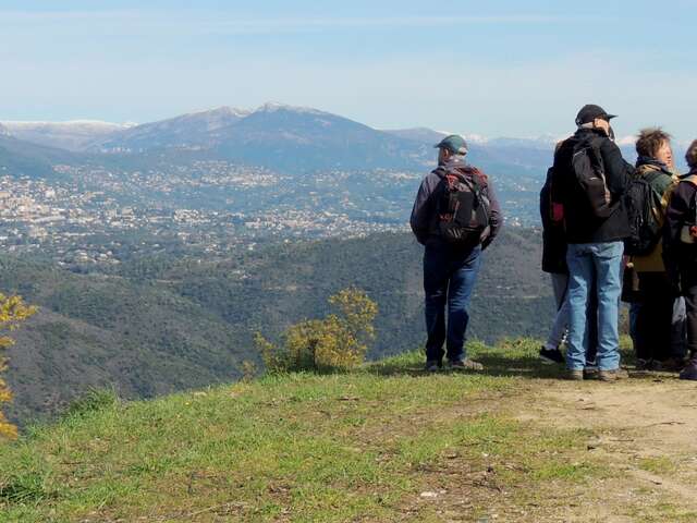 Le Mimosa et le massif du Tanneron- balade guidée par Majorie