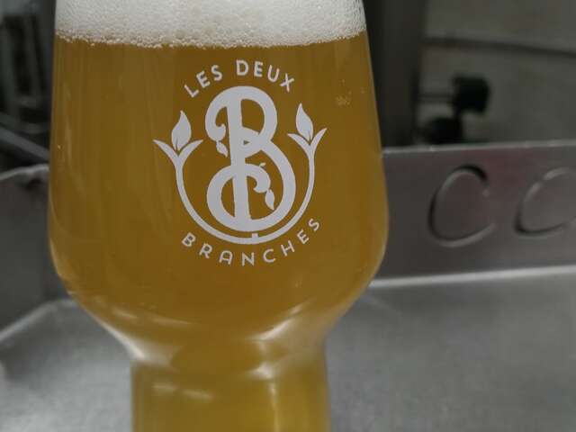 Brasserie Les Deux Branches