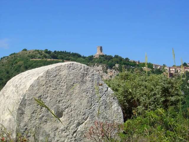 La carrière du Justicier