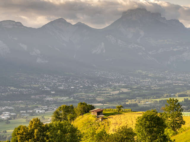 La forêt de Combeloup depuis Murianette