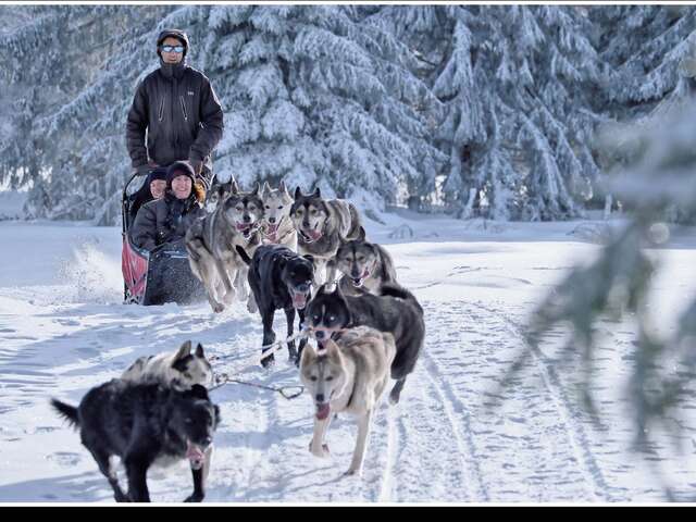 Auvergne Traîneau - Pertuyzat