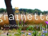 Grainette