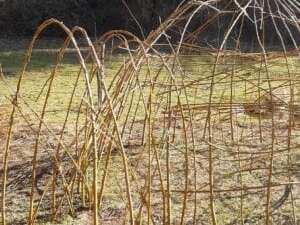COMPLET - Activité enfant 6-13 ans - Cabane et bricolages avec des plantes - Maison du Marais