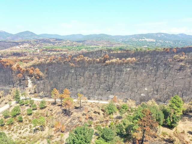 Les conférences environnement à La Londe les Maures