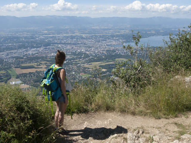 Point de Vue l'Observatoire